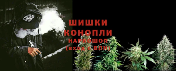 ECSTASY Кинешма