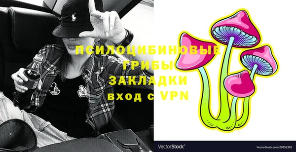 ECSTASY Кинешма