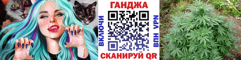 где продают наркотики  Щёкино  Бошки марихуана марихуана 